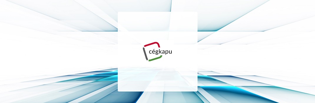 Cégkapu